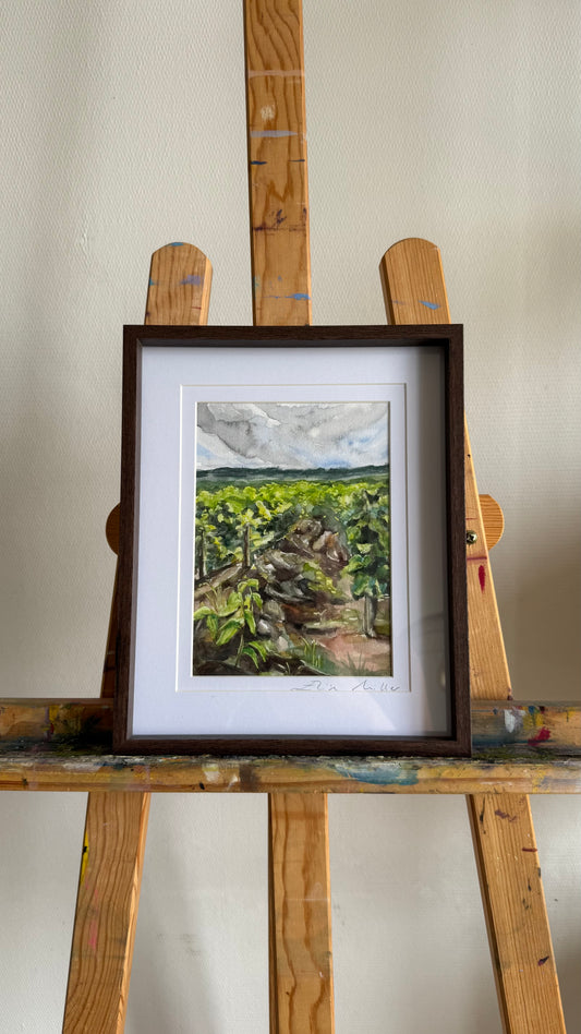 Vignes de Bourgogne