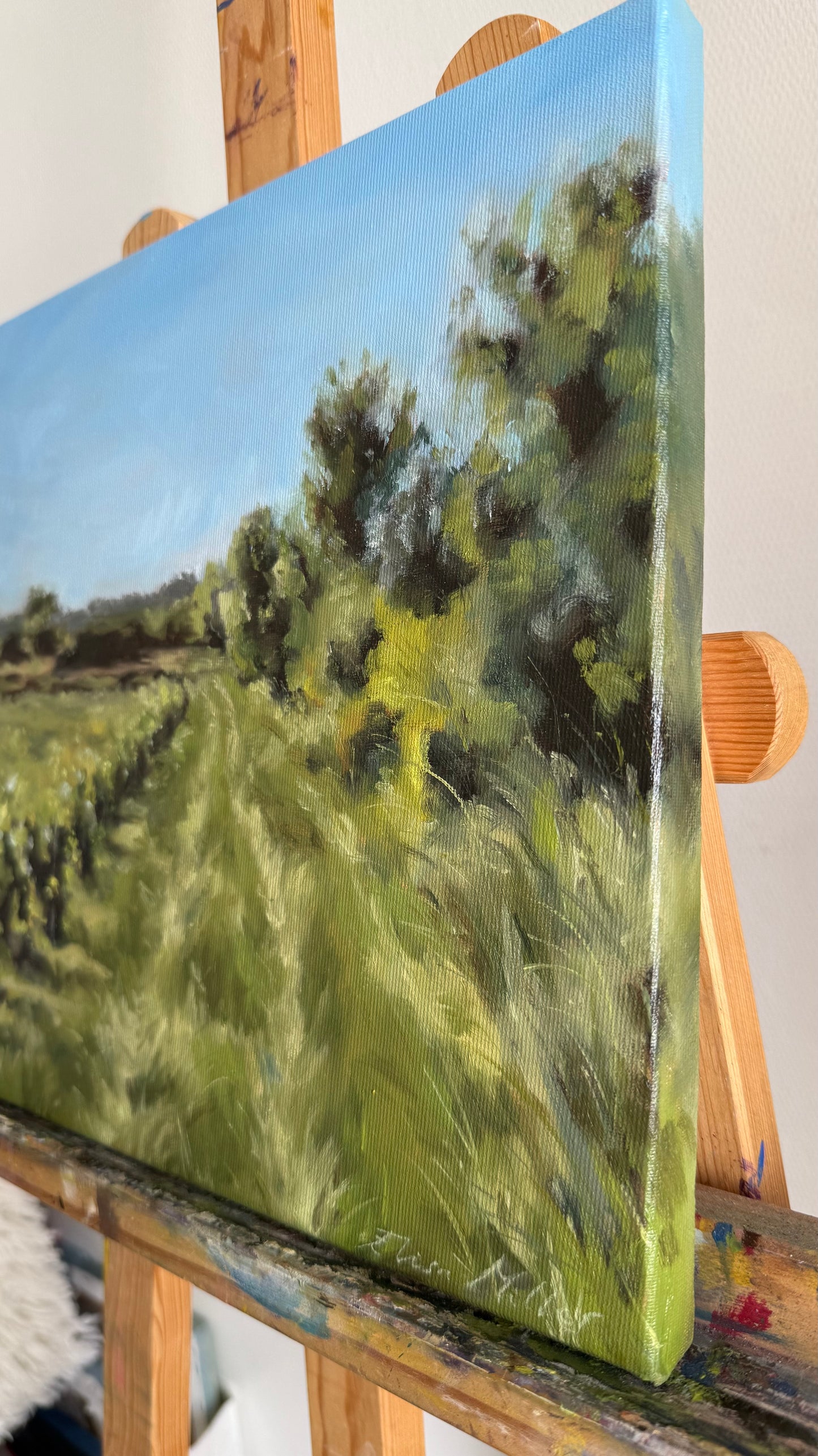 Le Chemin des Vignes