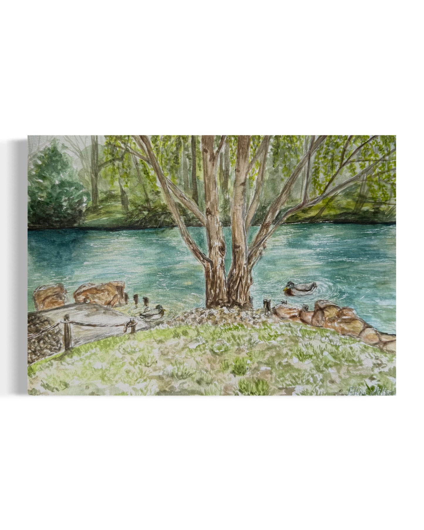 La Mare aux Canards