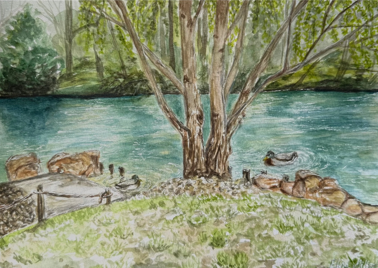 La Mare aux Canards