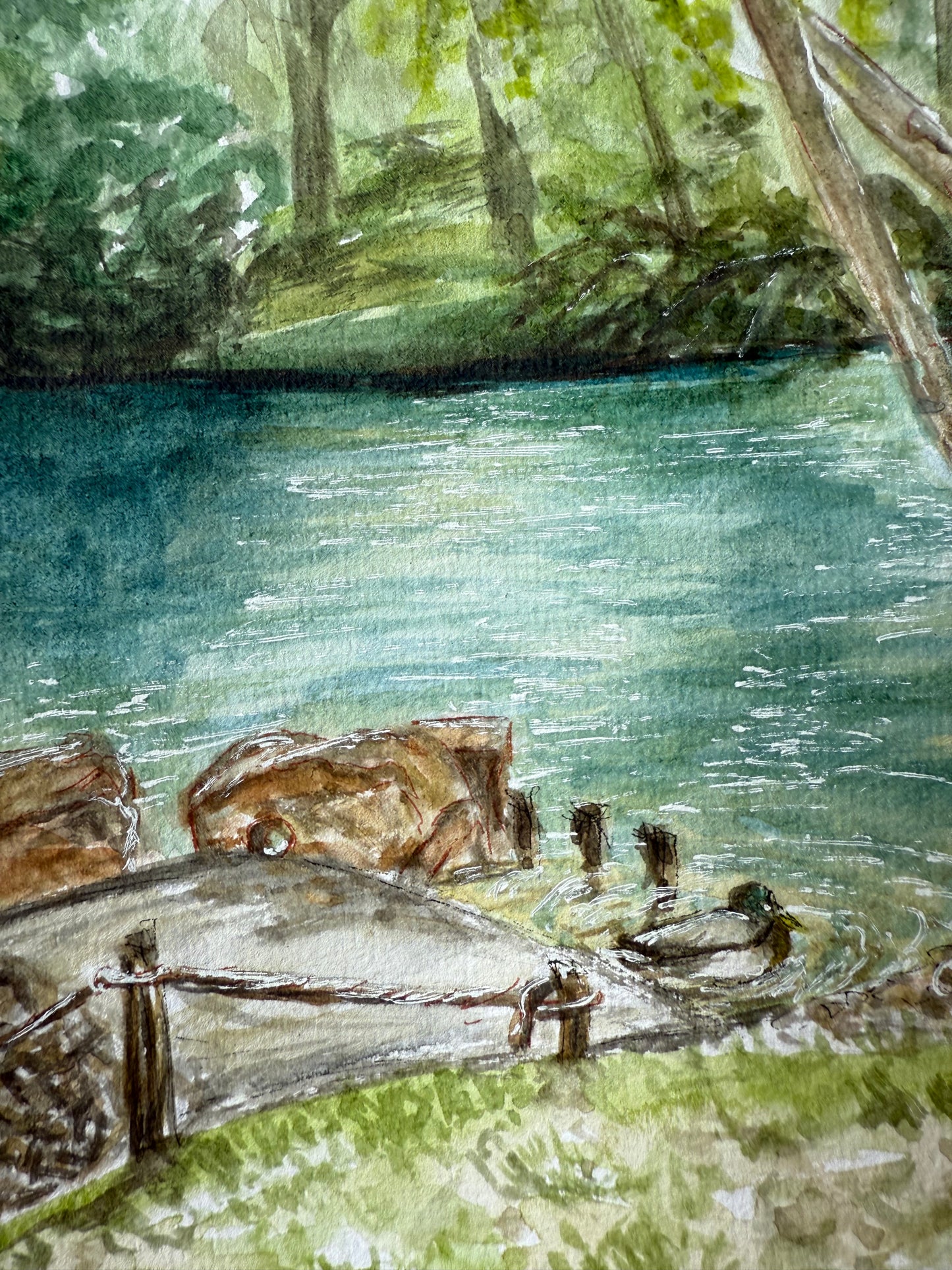 La Mare aux Canards