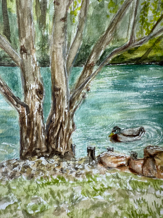 La Mare aux Canards