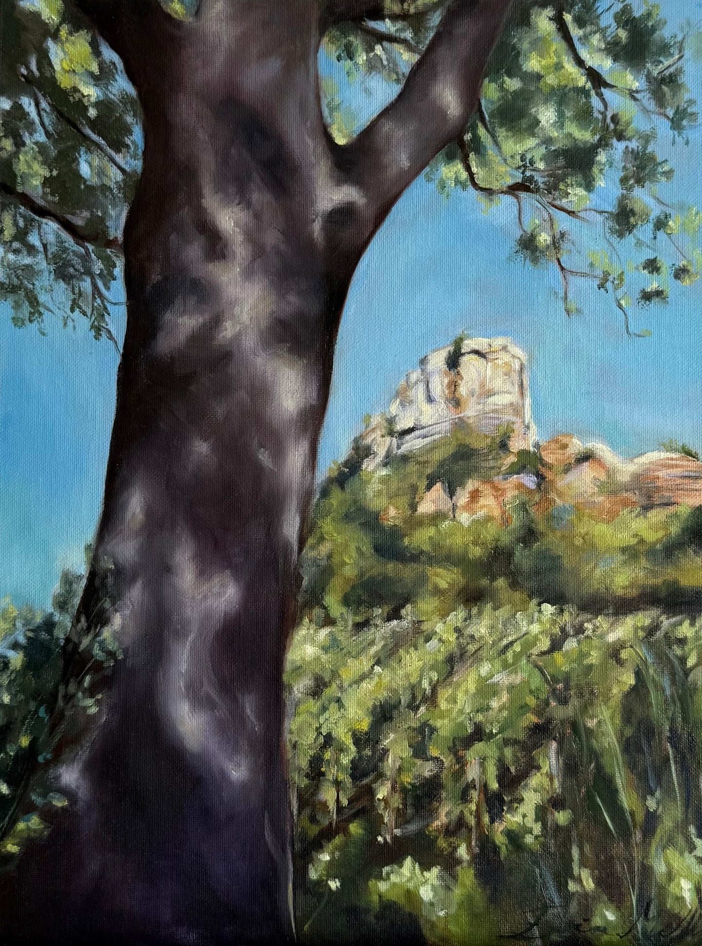 Les Gardiennes des Vignes