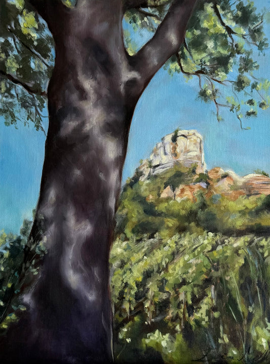 Les Gardiennes des Vignes