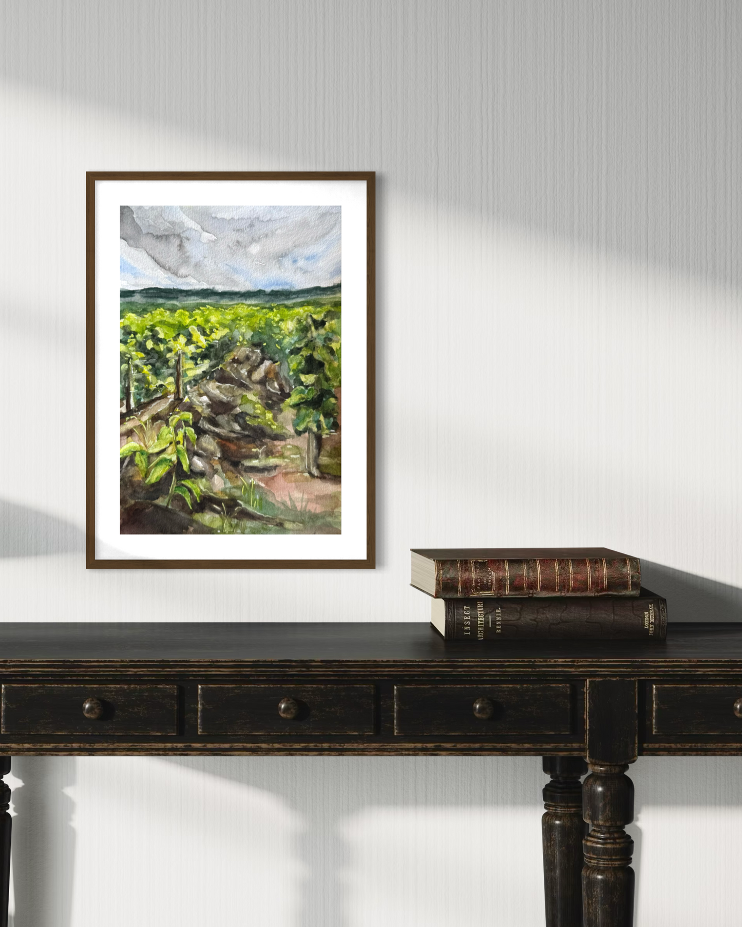 Vignes de Bourgogne