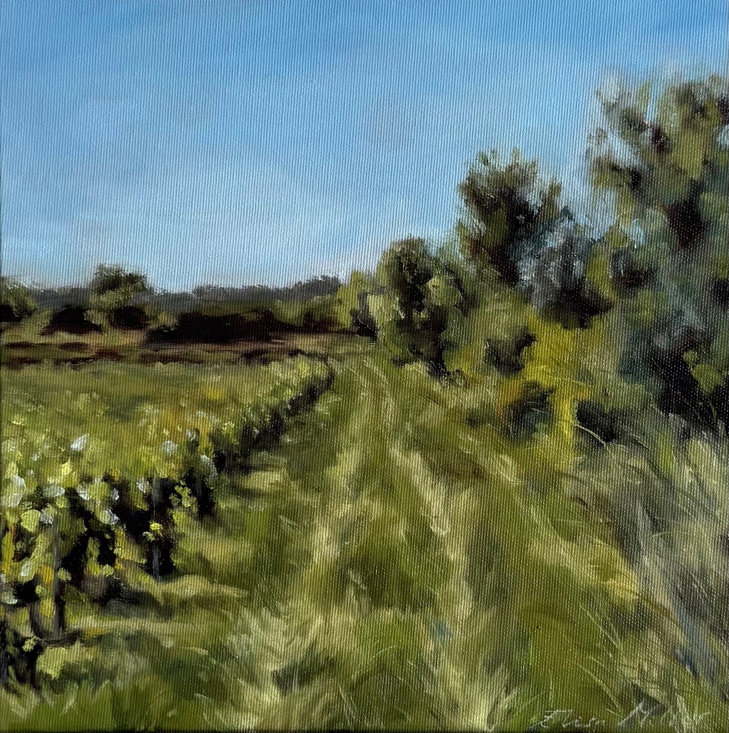 Le Chemin des Vignes