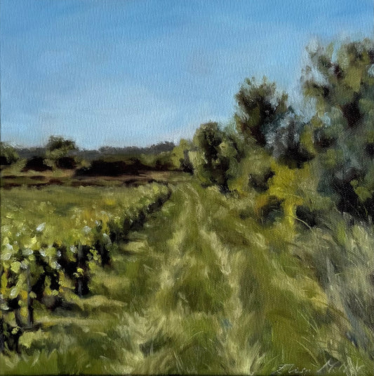 Le Chemin des Vignes