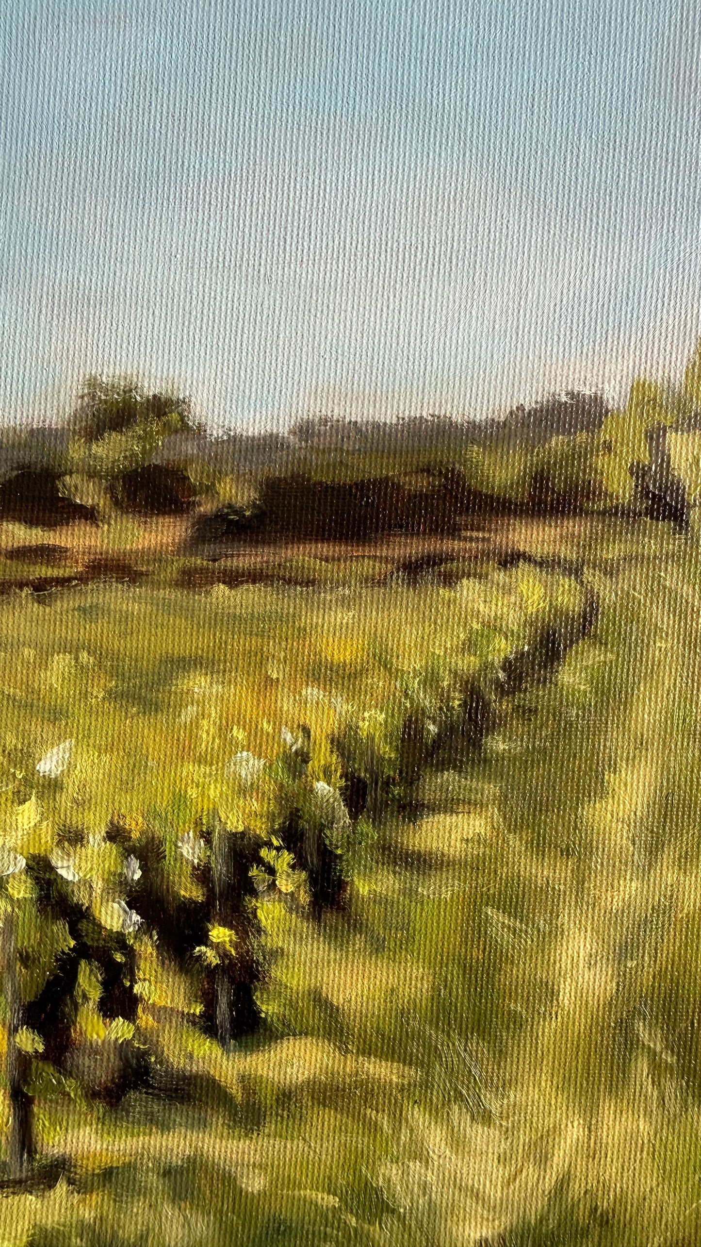 Le Chemin des Vignes