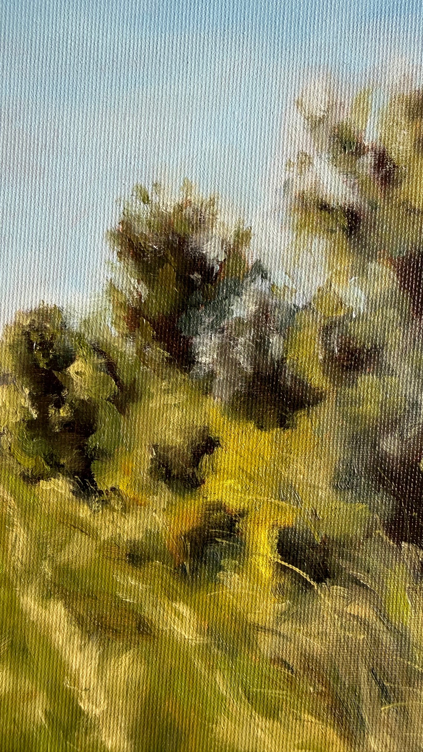 Le Chemin des Vignes
