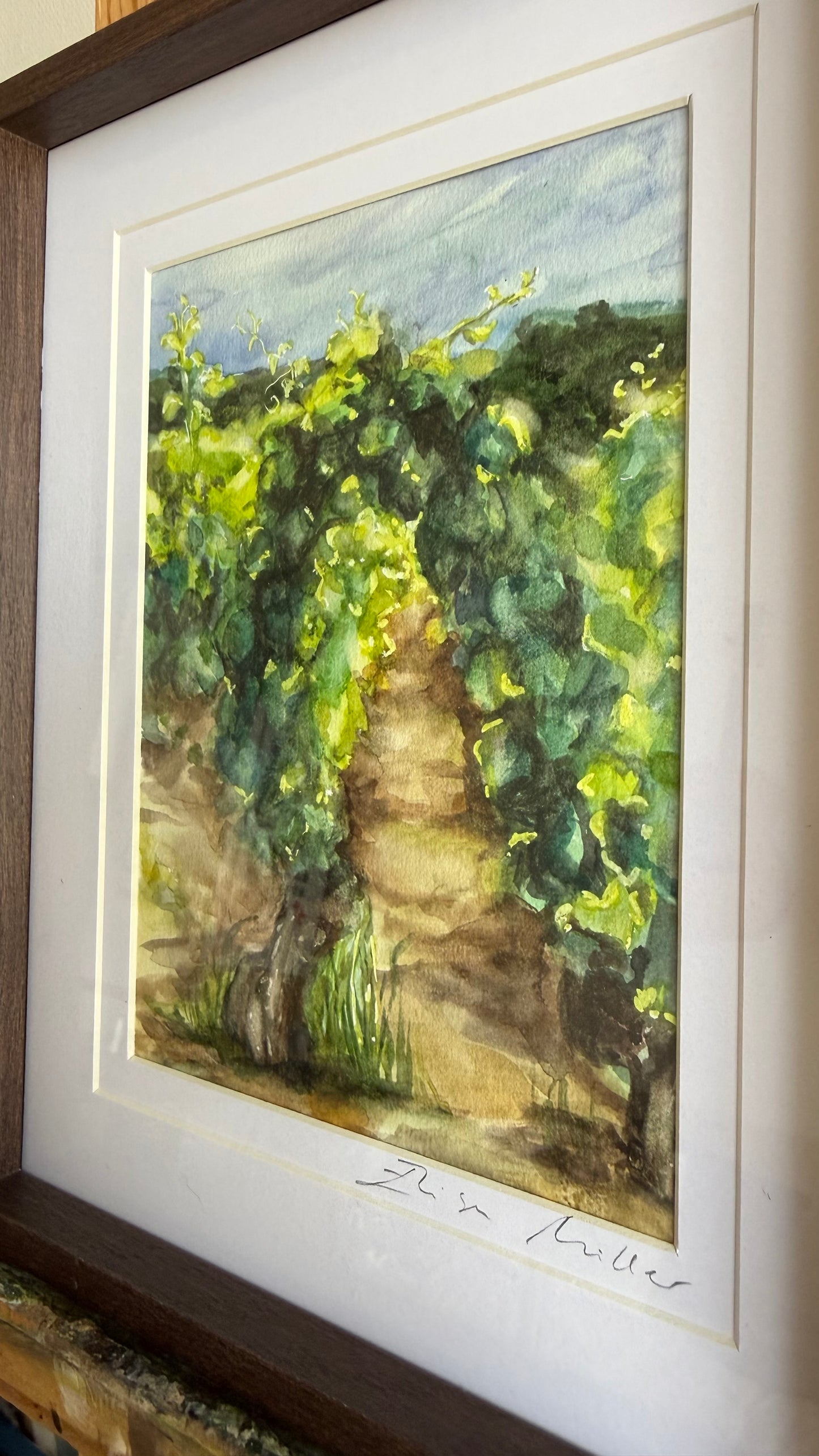 L'Union des Vignes