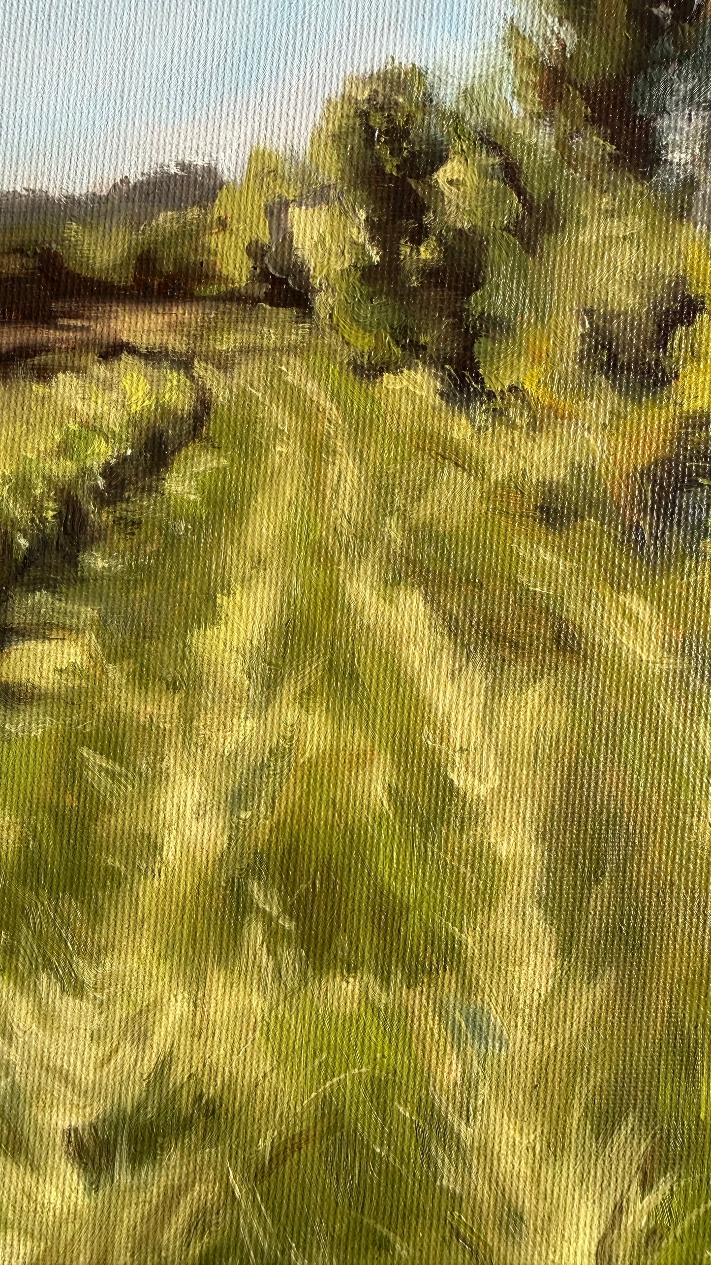 Le Chemin des Vignes