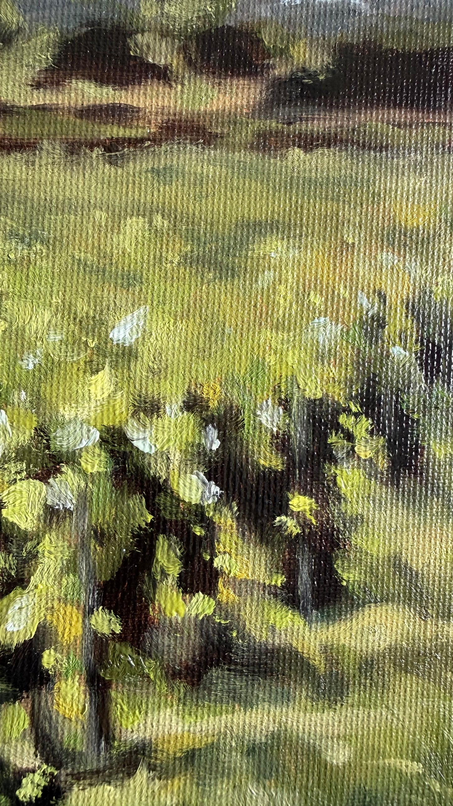 Le Chemin des Vignes
