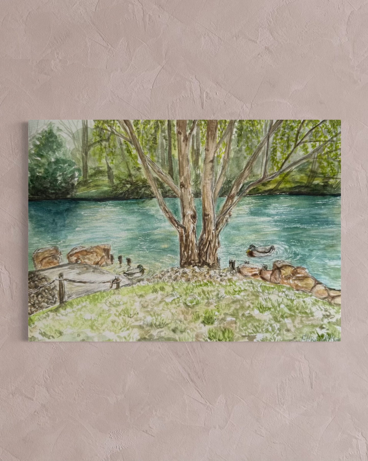 La Mare aux Canards