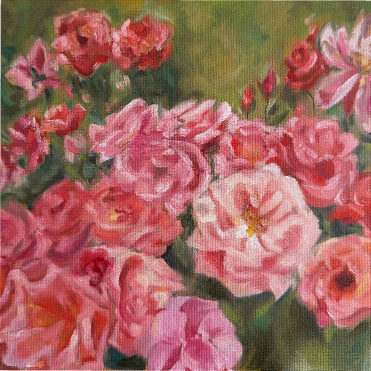 Ce Que Disent Les Roses